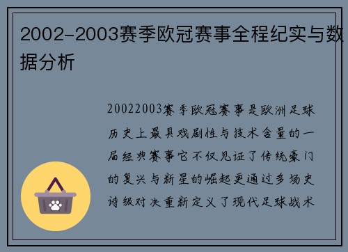 2002-2003赛季欧冠赛事全程纪实与数据分析